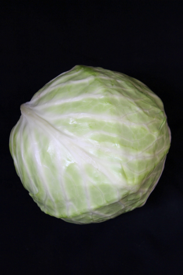 cabbage