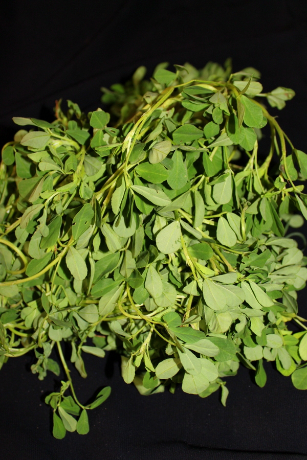 methi leaves