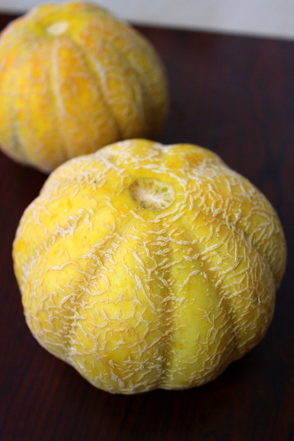 muskmelon fruit