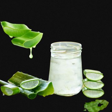 aloe vera juice in a mason jar with aloe vera leaves cut to show how the leaves contain gel