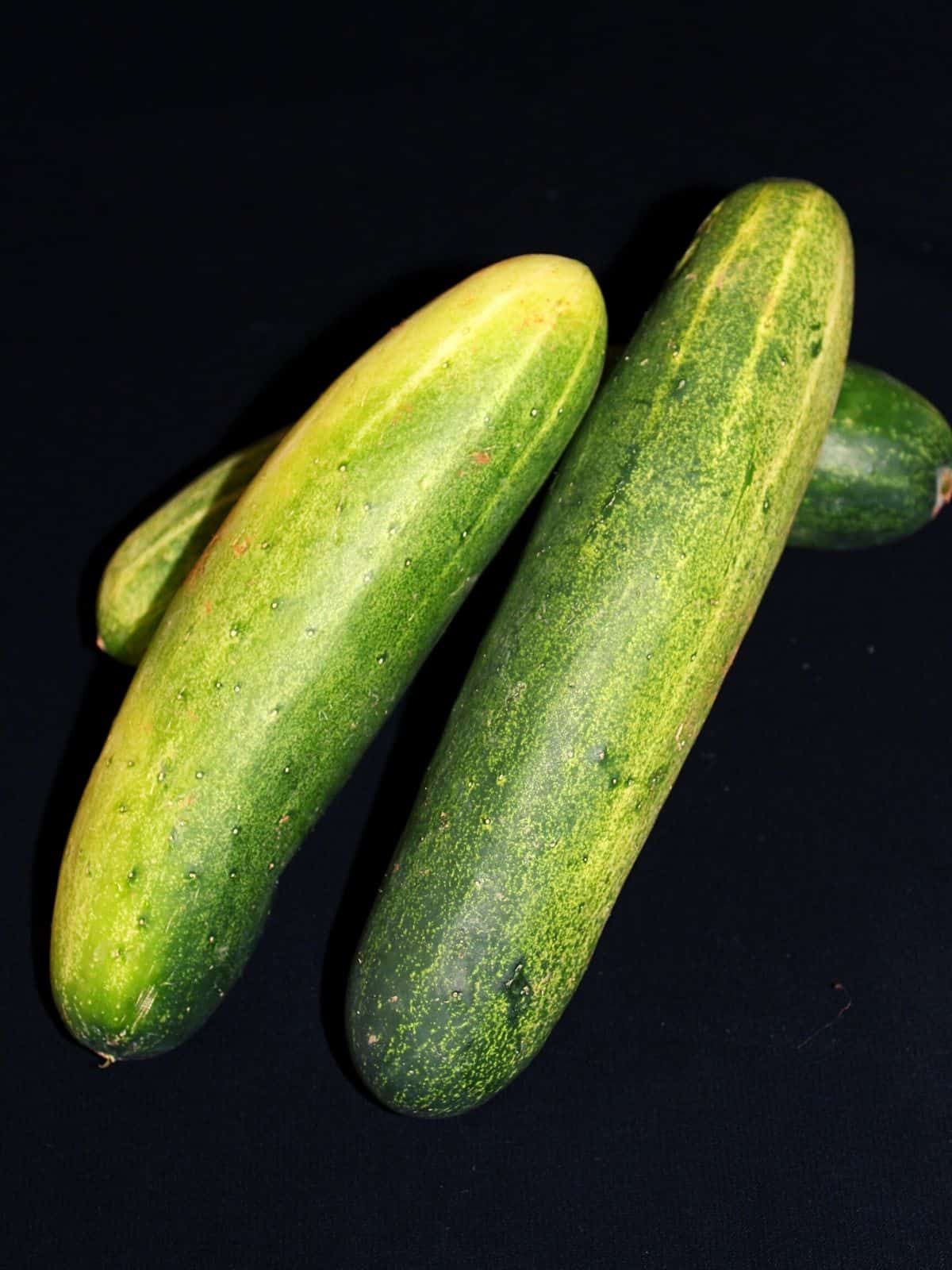 showing three big size cucumbers placed on each other on a mat
