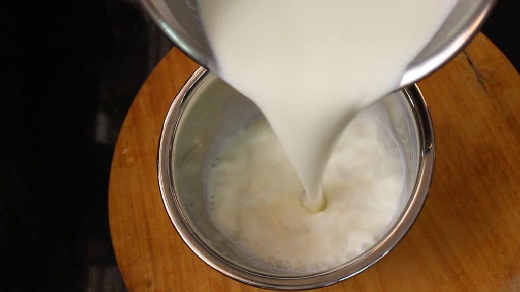 Pouring the milk into a steel bowl or container