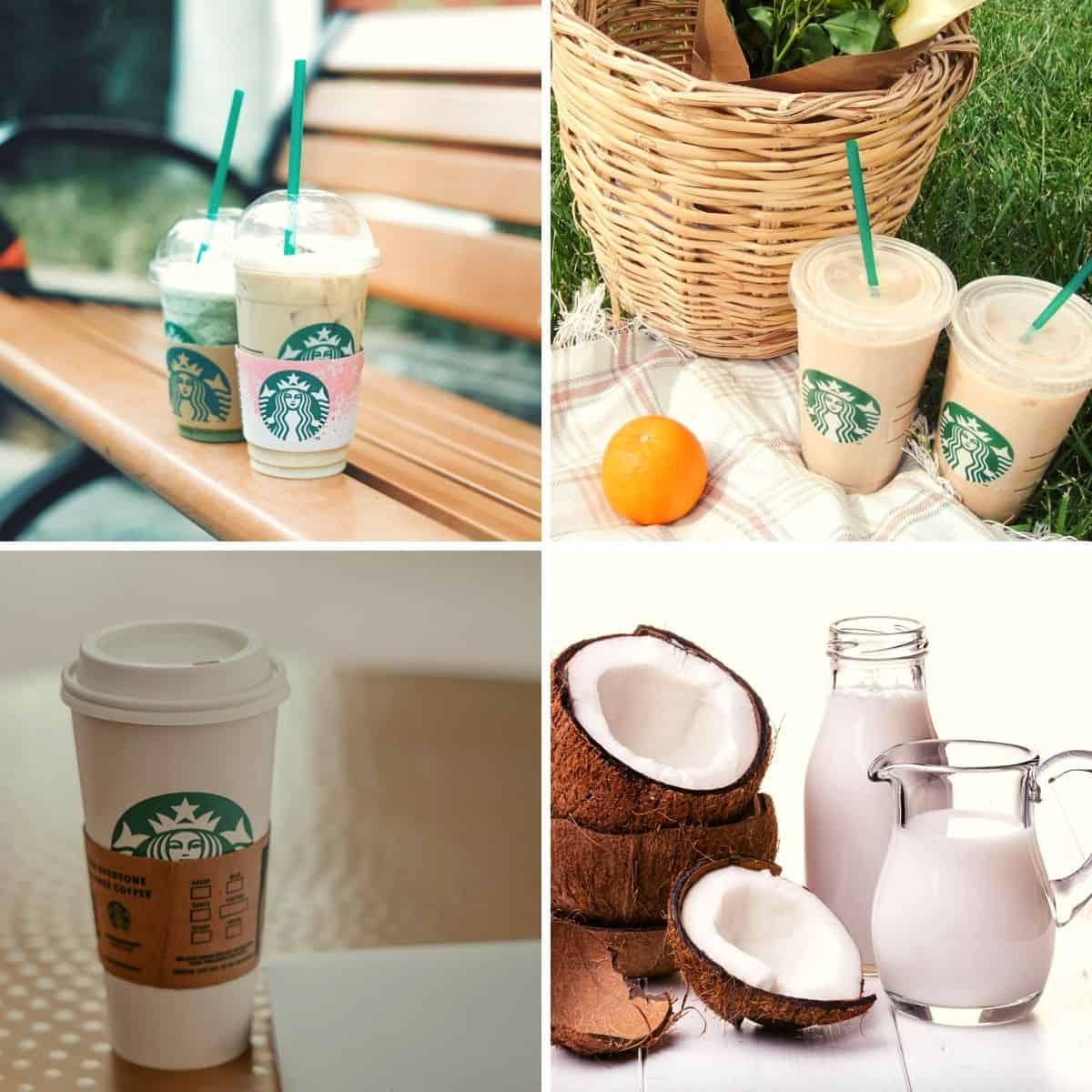 Soak Up the Sun with Starbucks New Summer Merchandise