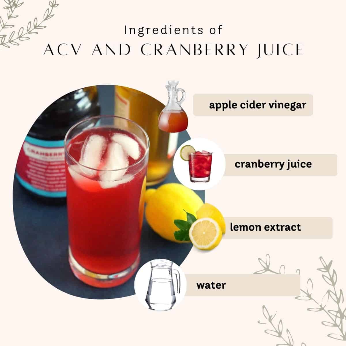 ingredients to make acv and cranberry juice